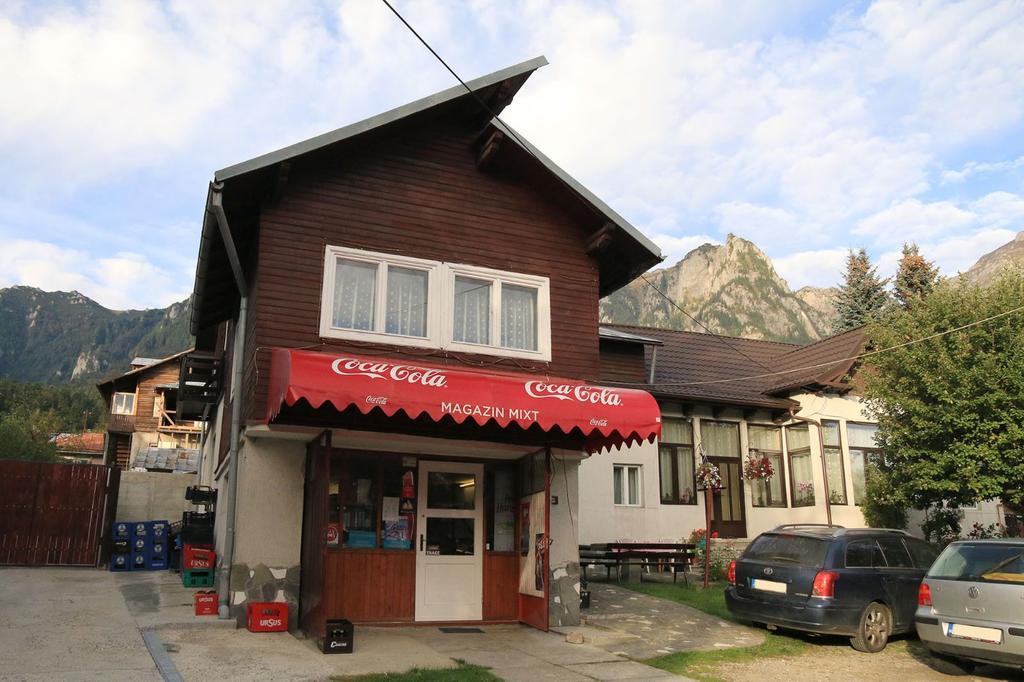 Casa Maria Busteni - Poiana Tapului 外观 照片